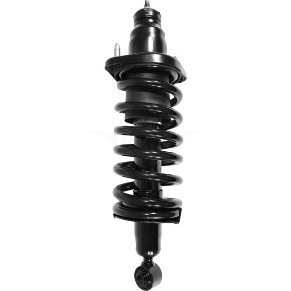 Suspension Strut Coil Spring Assembly