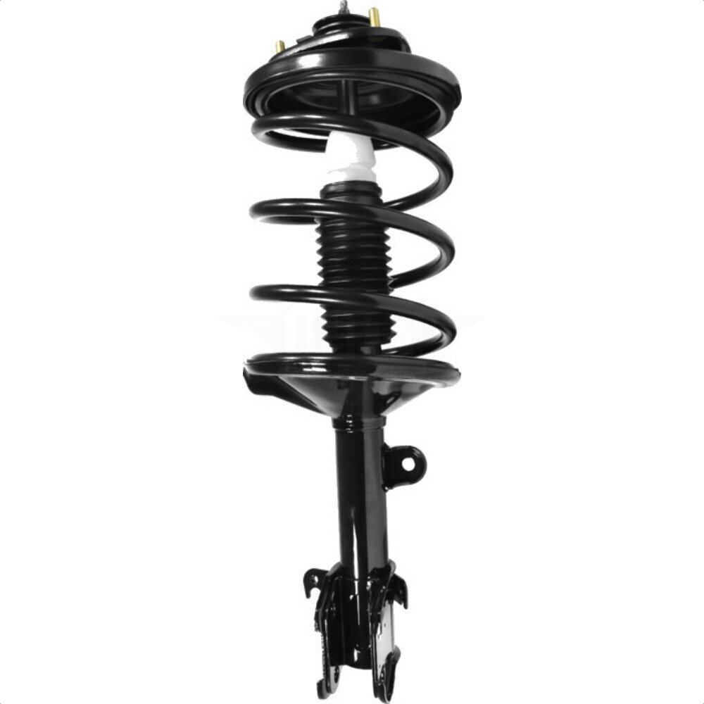 Suspension Strut Coil Spring Assembly