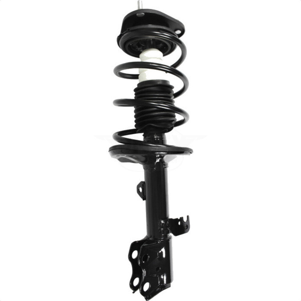 Suspension Strut Coil Spring Assembly