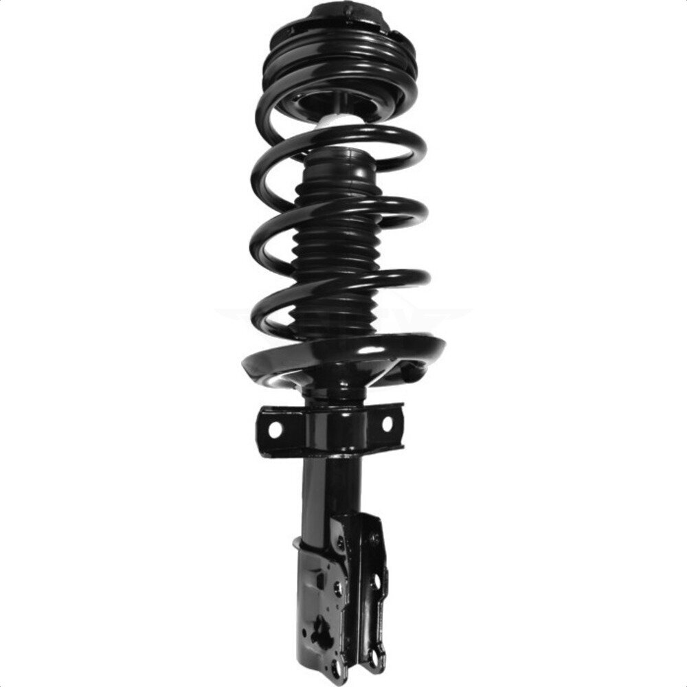 Suspension Strut Coil Spring Assembly