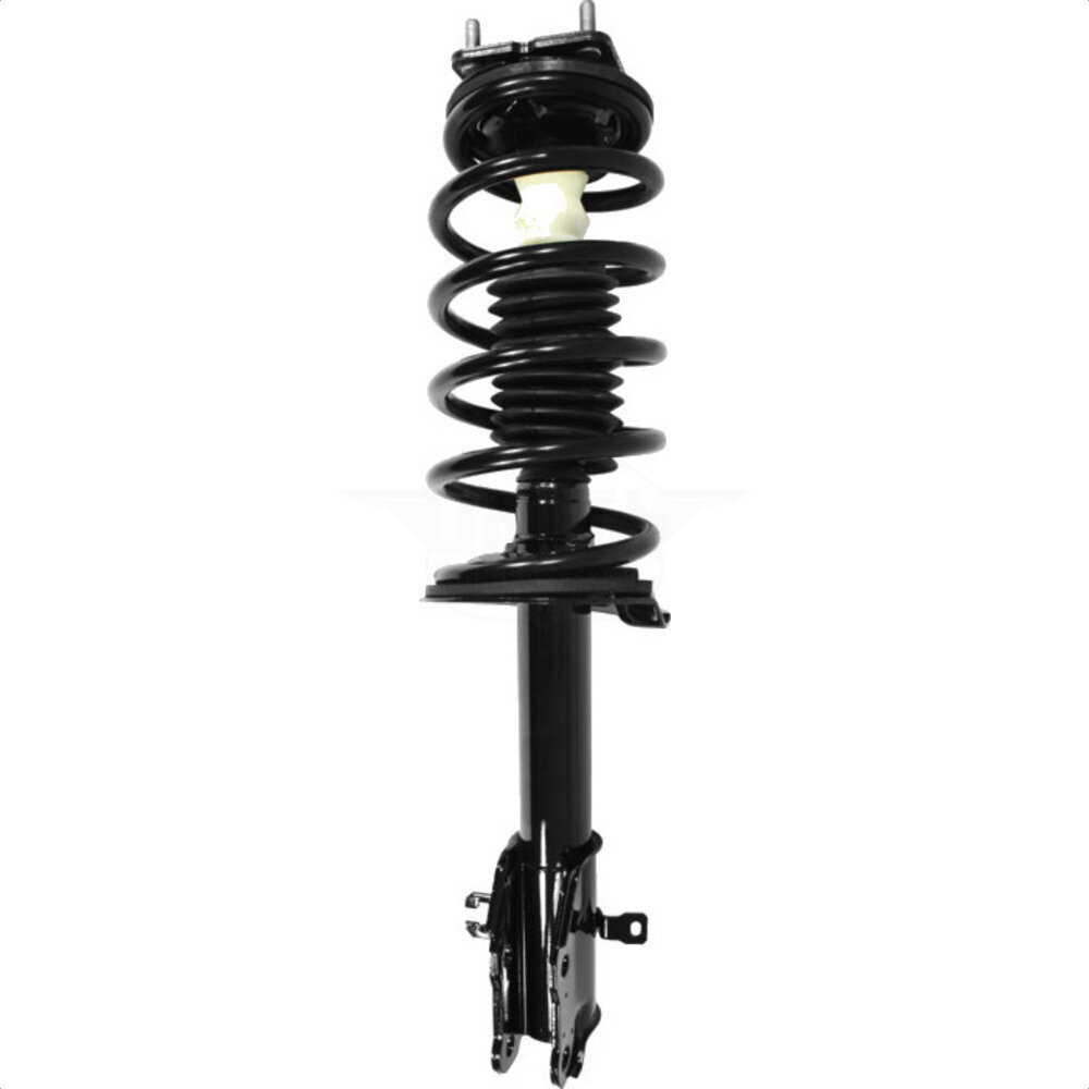 Suspension Strut Coil Spring Assembly