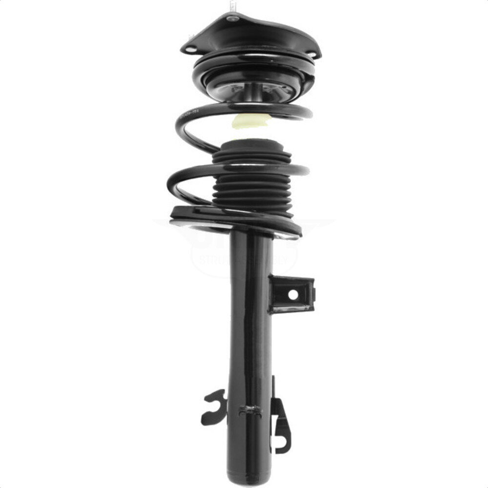 Suspension Strut Coil Spring Assembly