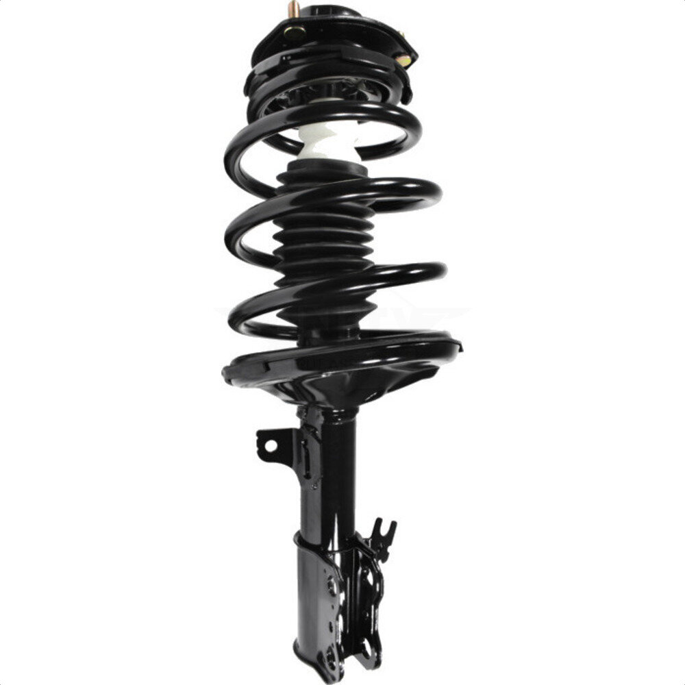 Suspension Strut Coil Spring Assembly