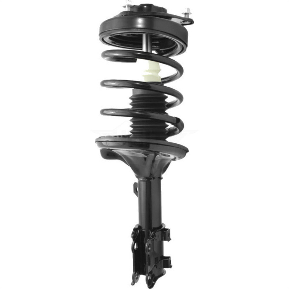 Suspension Strut Coil Spring Assembly