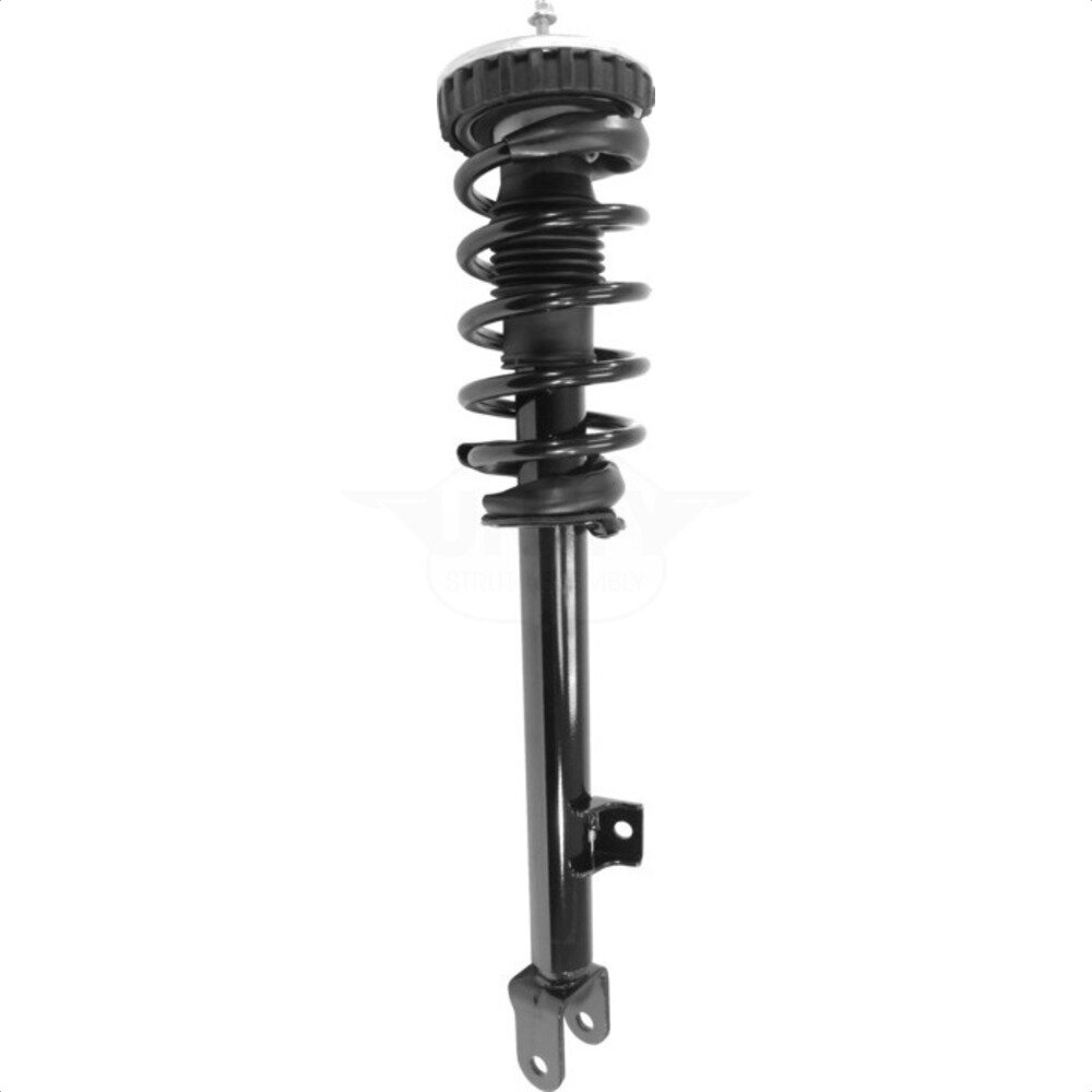 Suspension Strut Coil Spring Assembly