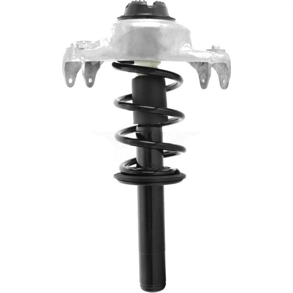 Suspension Strut Coil Spring Assembly