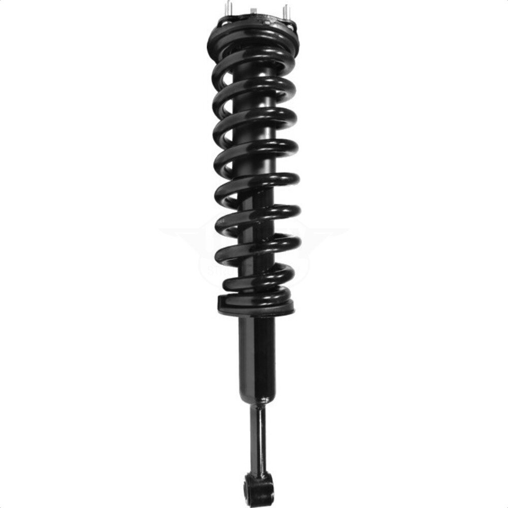 Suspension Strut Coil Spring Assembly