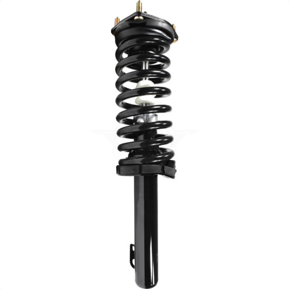 Suspension Strut Coil Spring Assembly