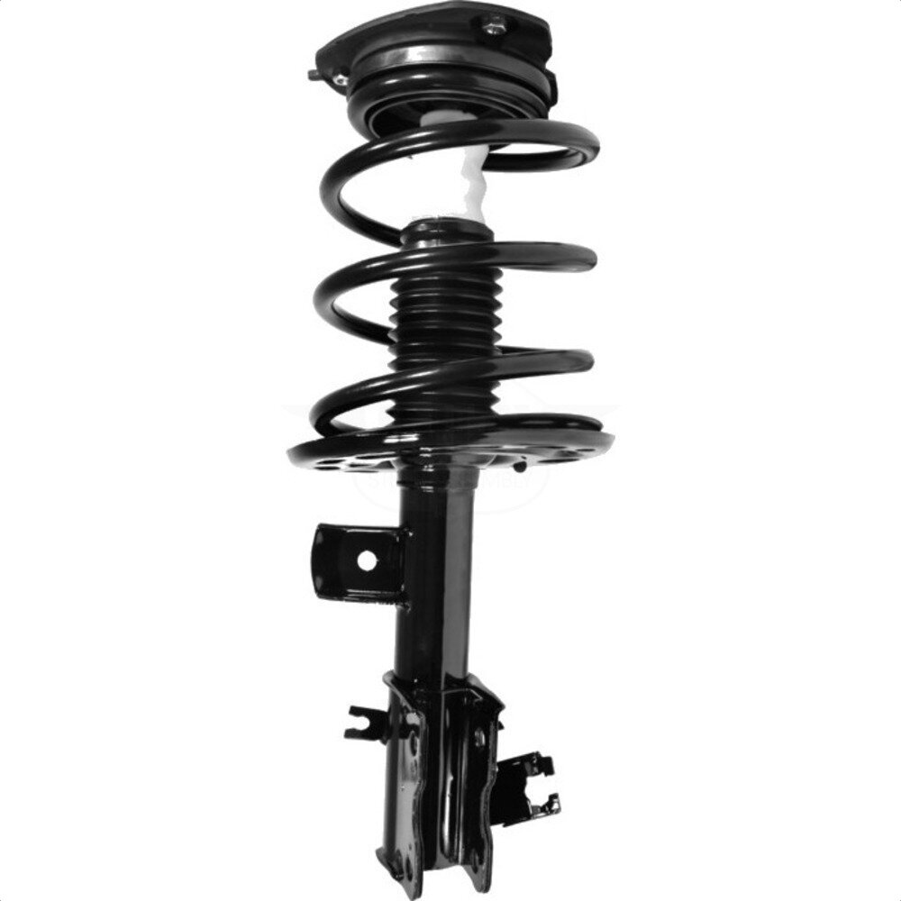 Suspension Strut Coil Spring Assembly