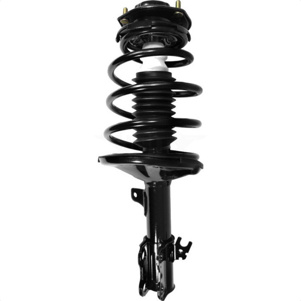 Suspension Strut Coil Spring Assembly