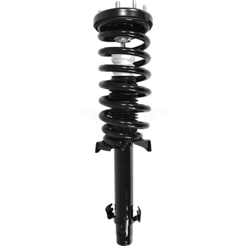 Suspension Strut Coil Spring Assembly