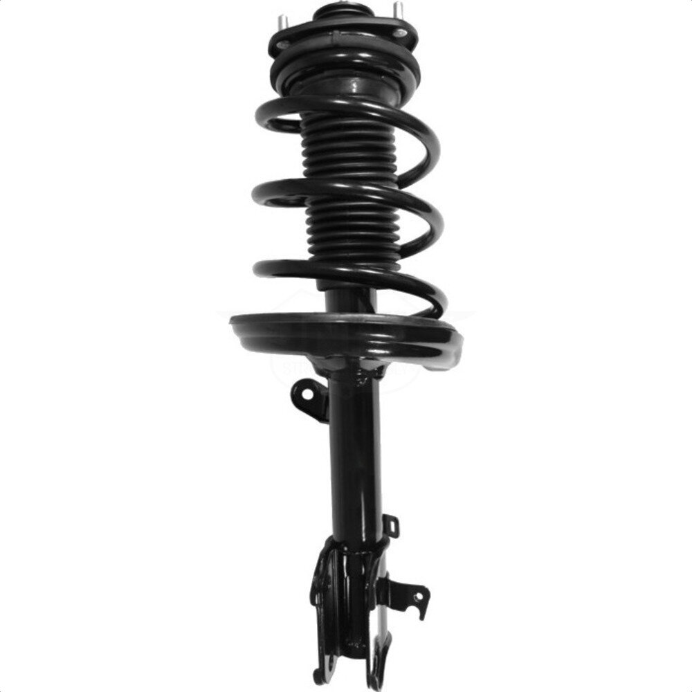 Suspension Strut Coil Spring Assembly
