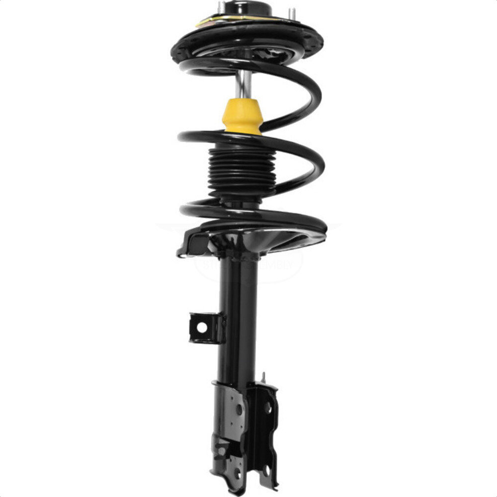 Suspension Strut Coil Spring Assembly