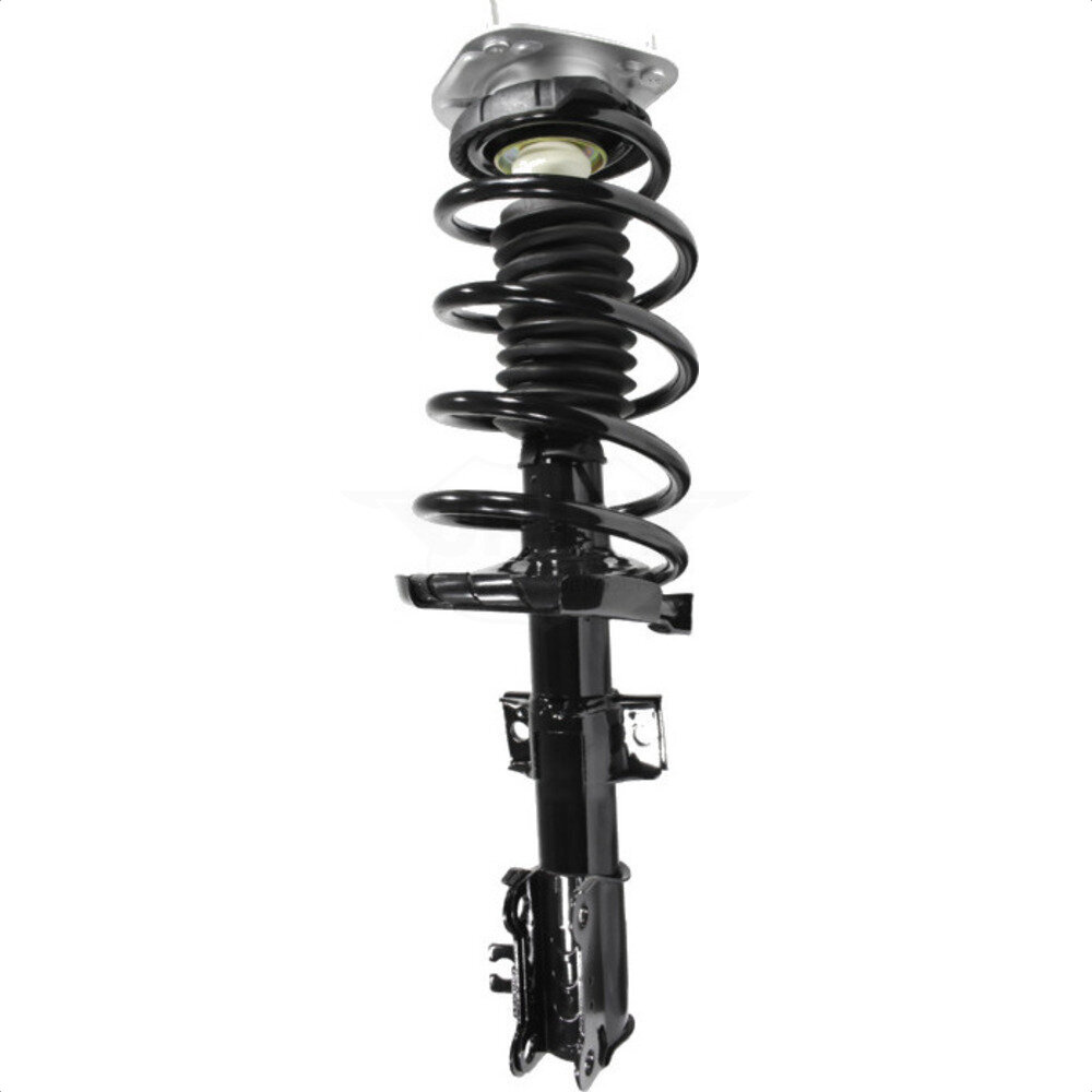 Suspension Strut Coil Spring Assembly