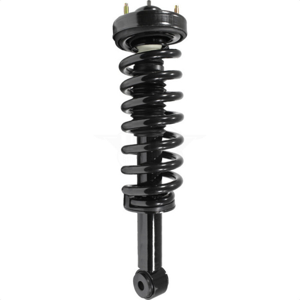 Suspension Strut Coil Spring Assembly