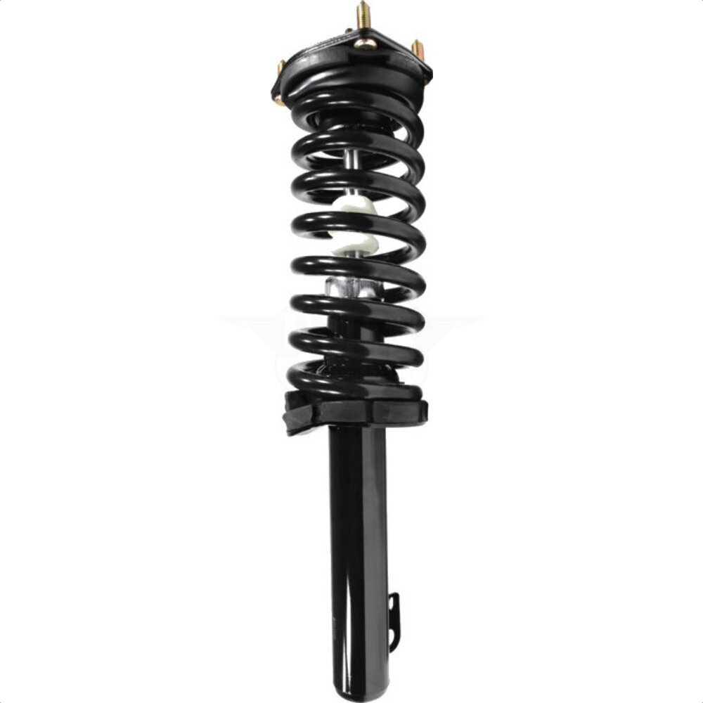 Suspension Strut Coil Spring Assembly