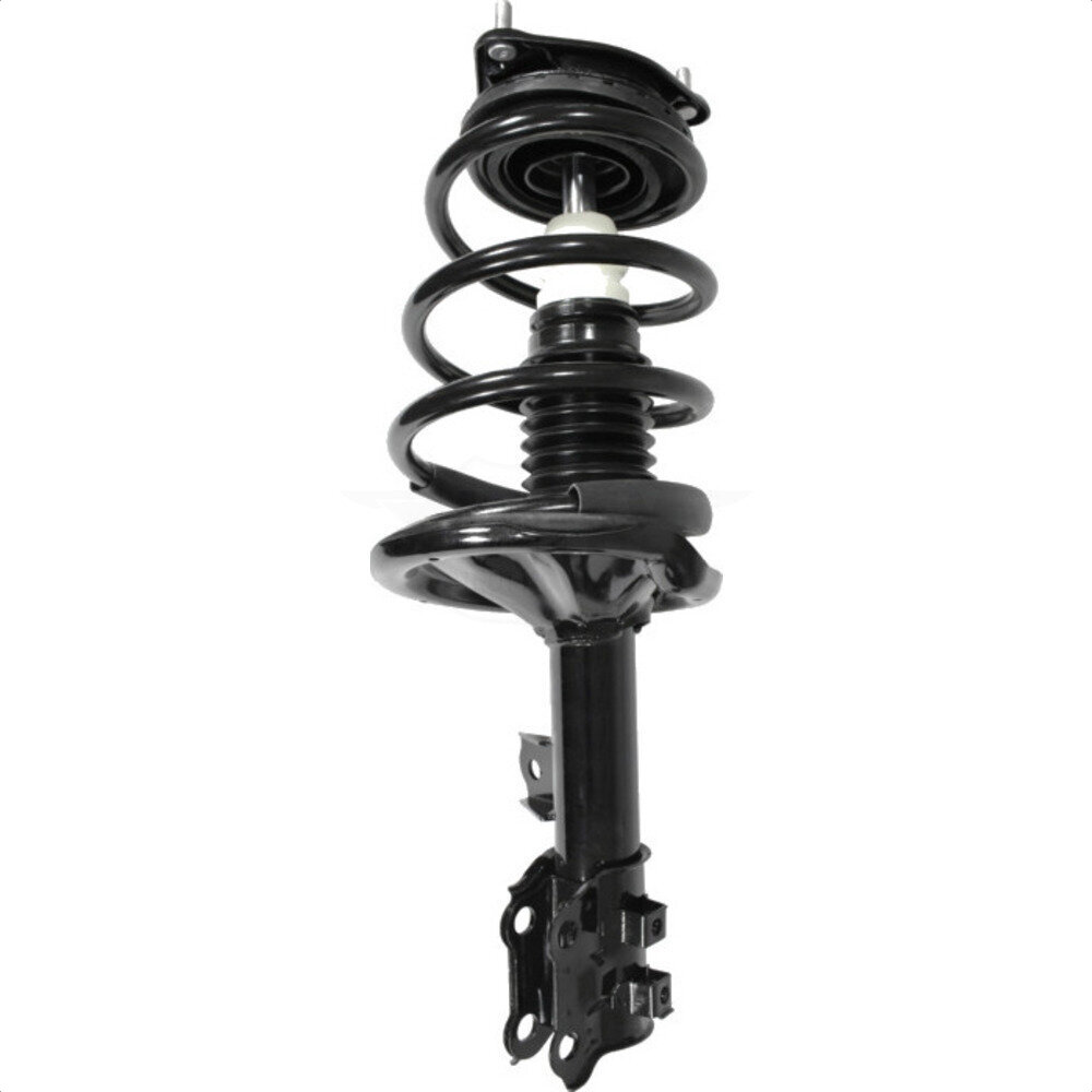 Suspension Strut Coil Spring Assembly