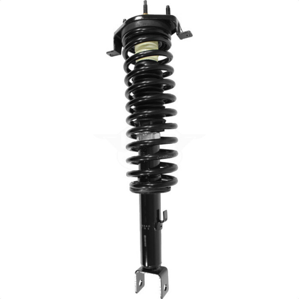 Suspension Strut Coil Spring Assembly