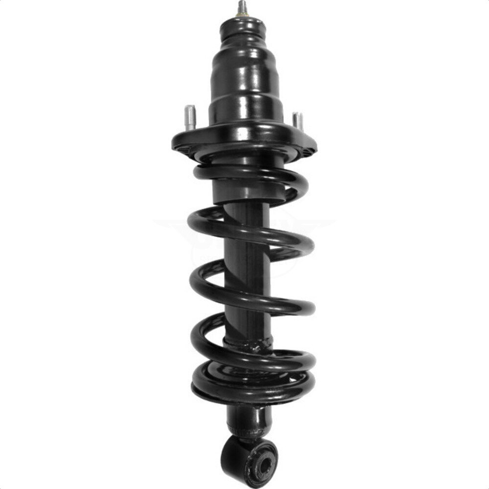 Suspension Strut Coil Spring Assembly