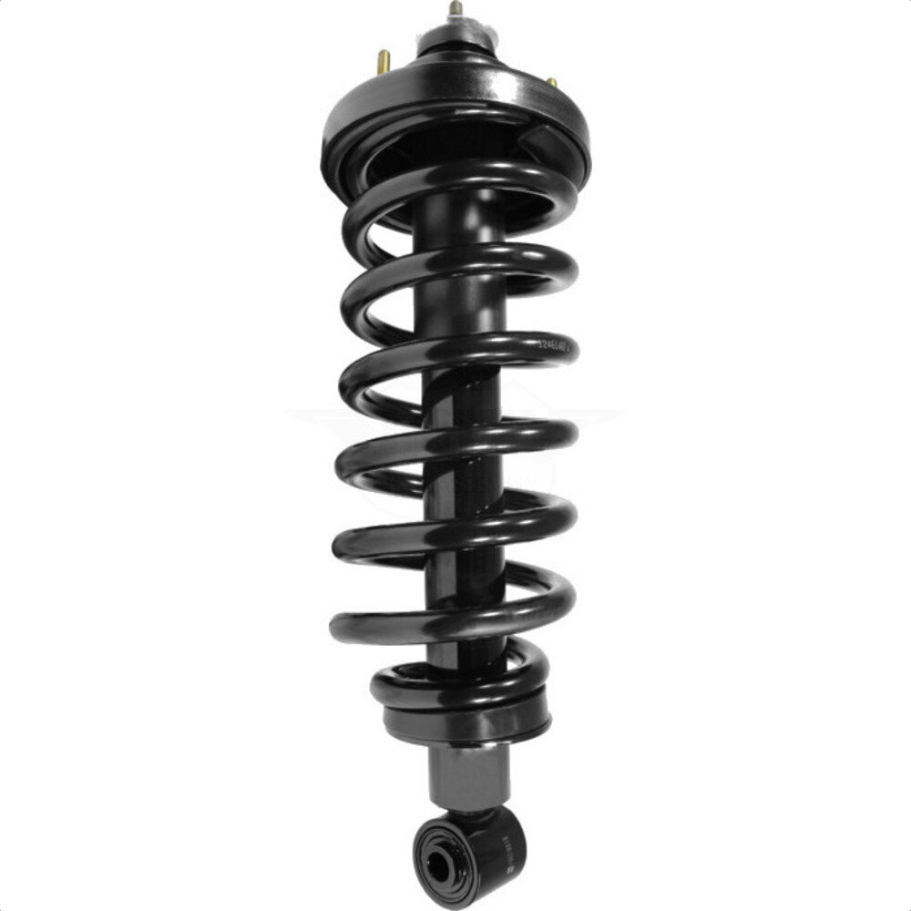 Suspension Strut Coil Spring Assembly
