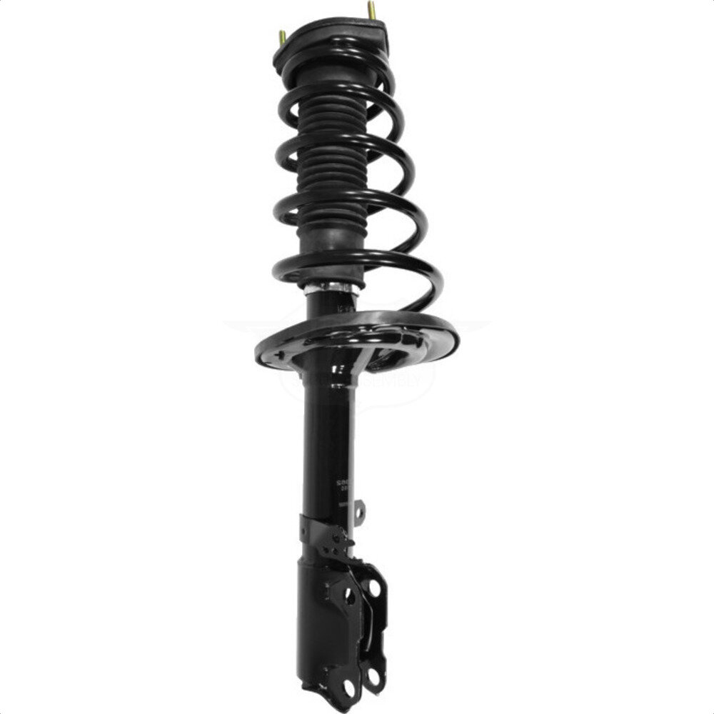 Suspension Strut Coil Spring Assembly