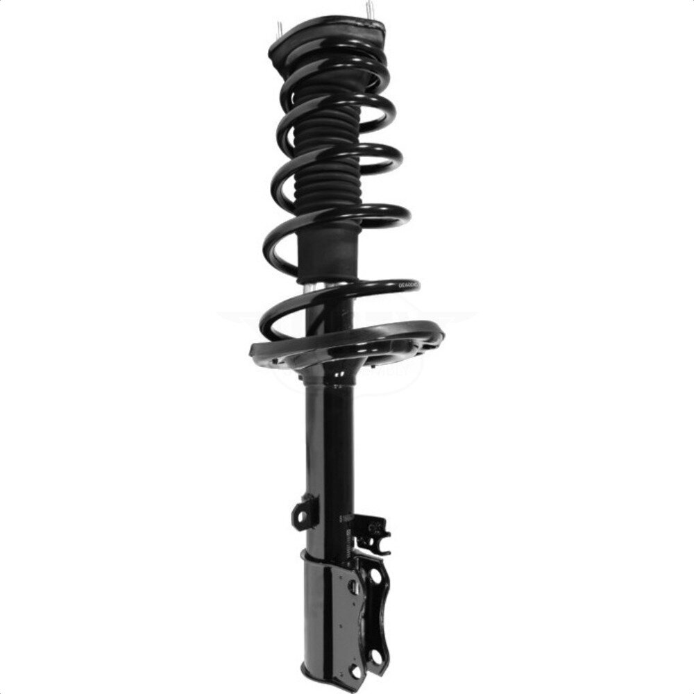 Suspension Strut Coil Spring Assembly