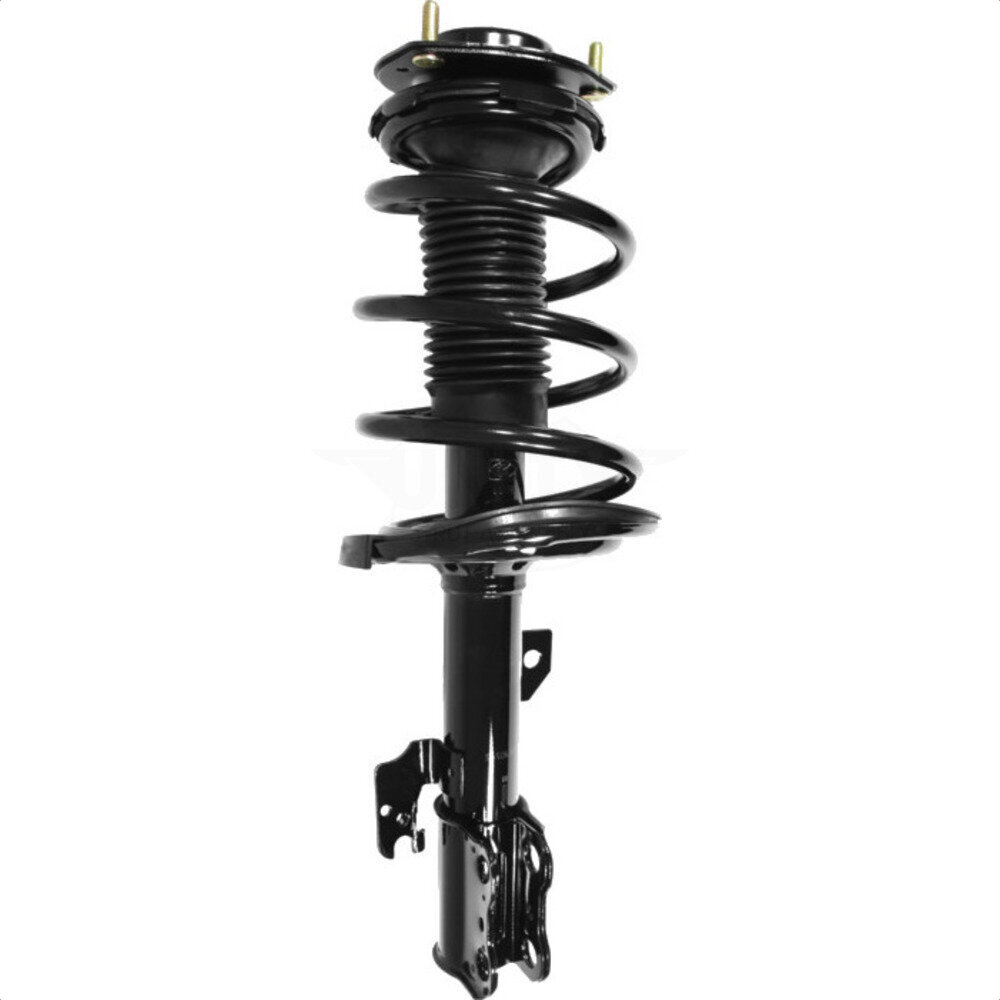 Suspension Strut Coil Spring Assembly