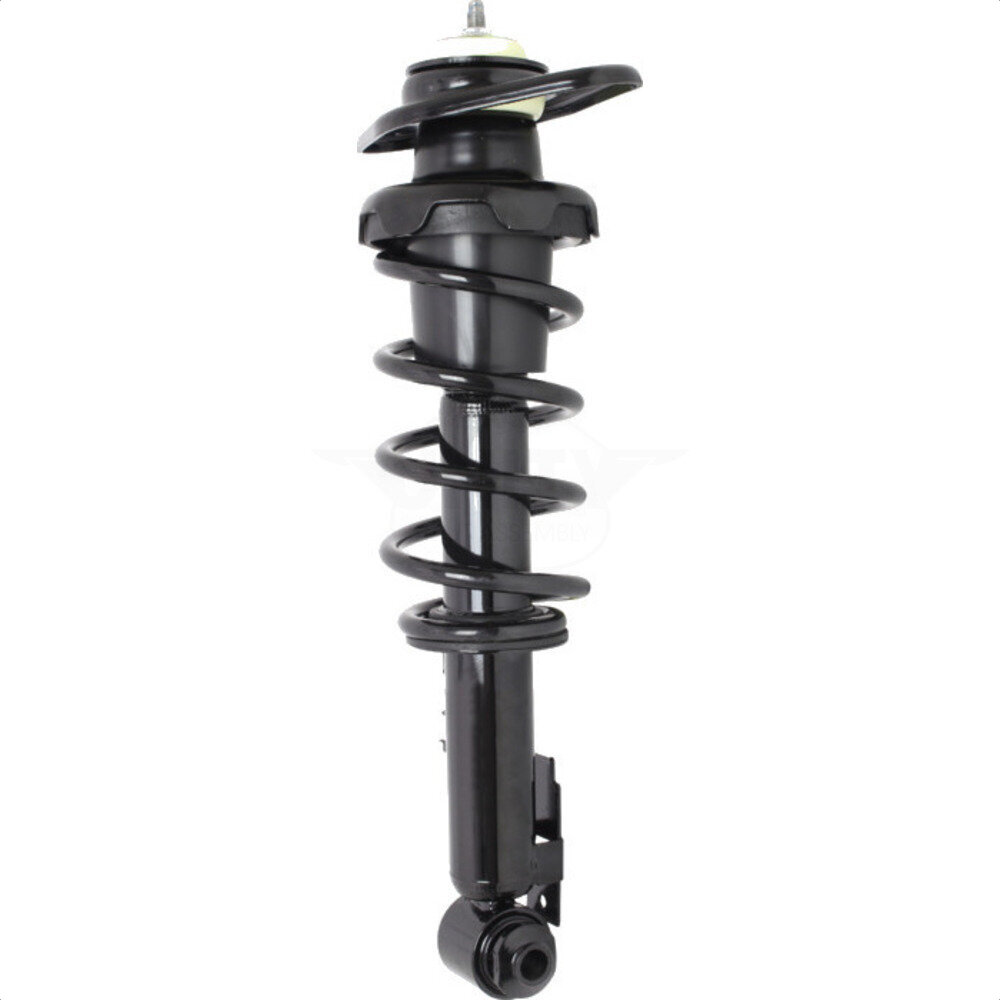 Suspension Strut Coil Spring Assembly