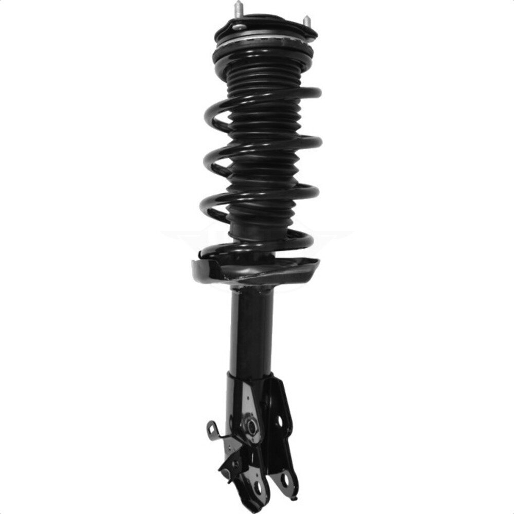 Suspension Strut Coil Spring Assembly