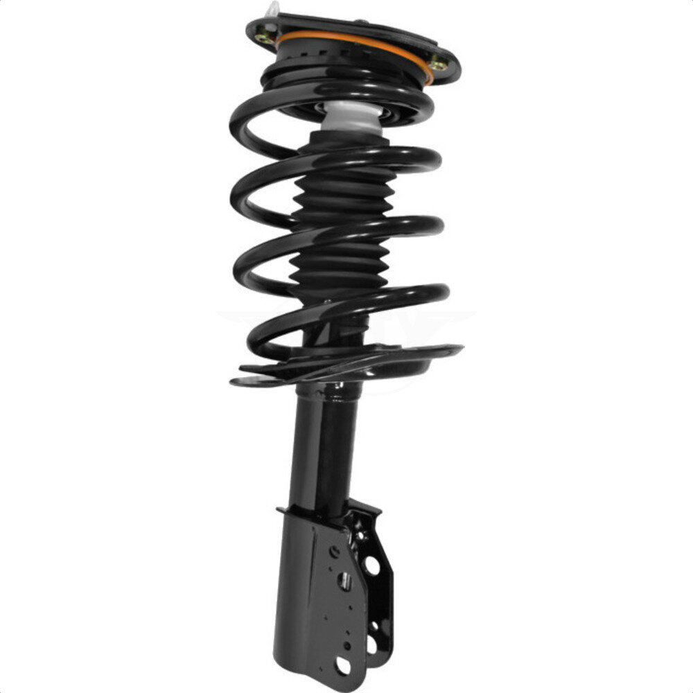 Suspension Strut Coil Spring Assembly