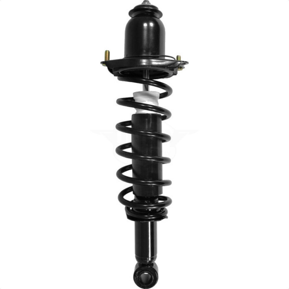 Suspension Strut Coil Spring Assembly