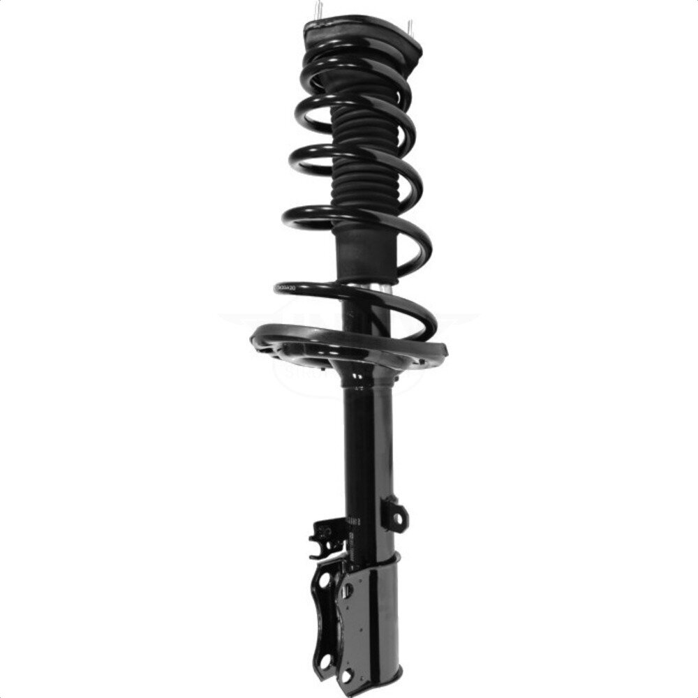 Suspension Strut Coil Spring Assembly