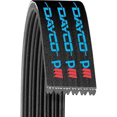 Dayco - 5060785 - DAYCO - 5060785 - Serpentine Belt