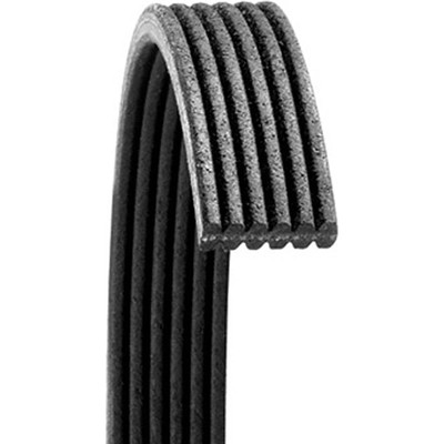 DAYCO - 6060470 -Serpentine Belt