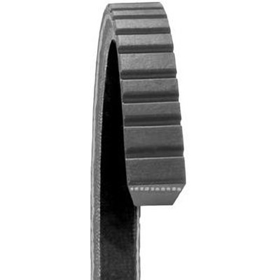 Alternator And Water Pump Belt by DAYCO - 17340