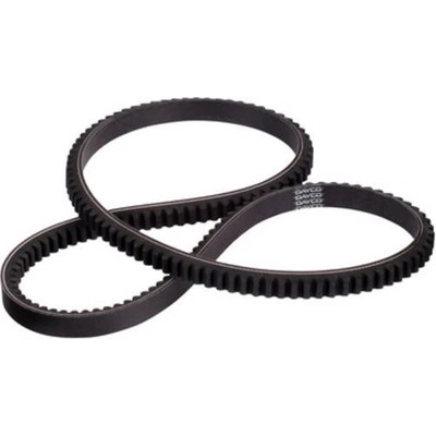 Water Pump Belt by DAYCO - 17435