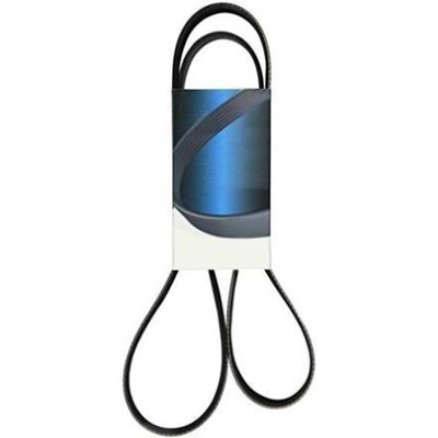 Dayco - 5070567 - DAYCO - 5070567 - Serpentine Belt