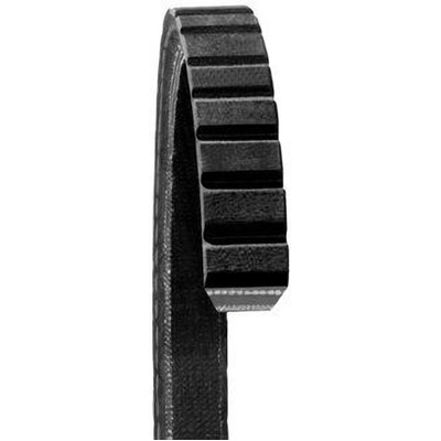 Alternator Belt by DAYCO - 15410
