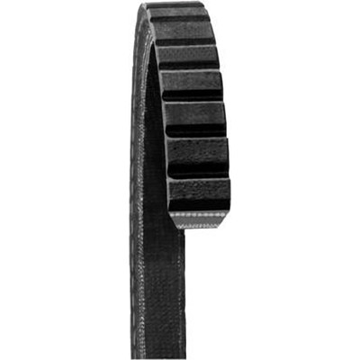 Power Steering Belt by DAYCO - 15540