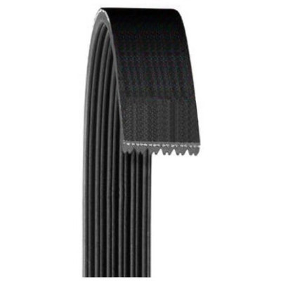 Serpentine Belt by DAYCO - 5071133