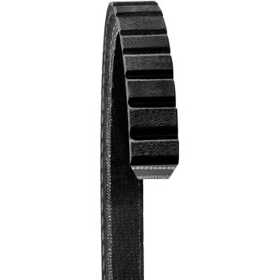 Alternator And Water Pump Belt by DAYCO - 15325