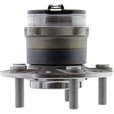 Rear Hub Assembly