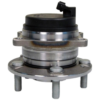 Rear Hub Assembly