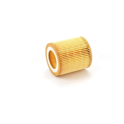 TRANSIT WAREHOUSE - 56-CH10075 - Oil Filter