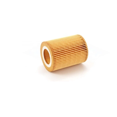TRANSIT WAREHOUSE - 56-CH8081 - Oil Filter