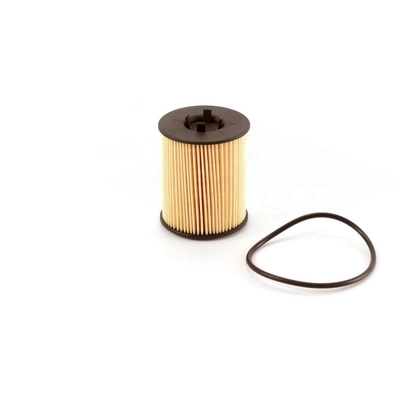 TRANSIT WAREHOUSE - 56-CH8806 - Oil Filter