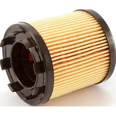 TRANSIT WAREHOUSE - 56-CH9018 - Oil Filter