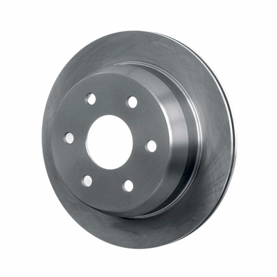 Rear Disc Brake Rotor