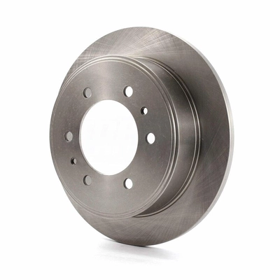 Rear Disc Brake Rotor