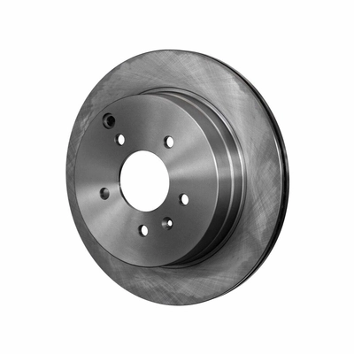 Rear Disc Brake Rotor
